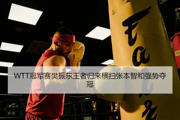 WTT冠军赛樊振东王者归来横扫张本智和强势夺冠