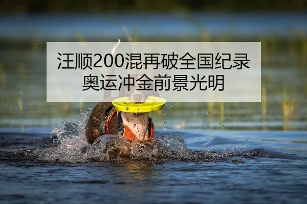 汪顺200混再破全国纪录 奥运冲金前景光明