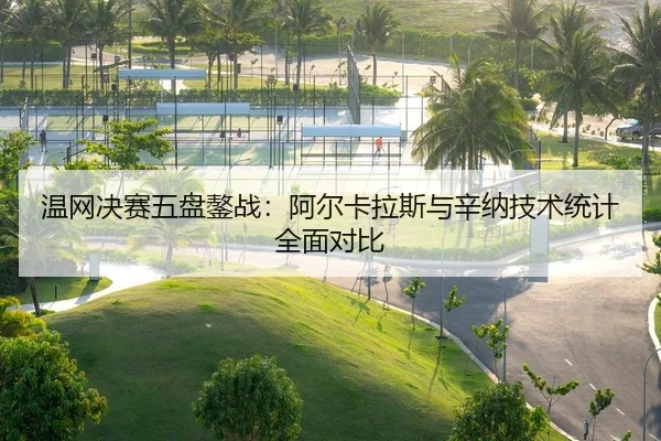 温网决赛五盘鏊战：阿尔卡拉斯与辛纳技术统计全面对比